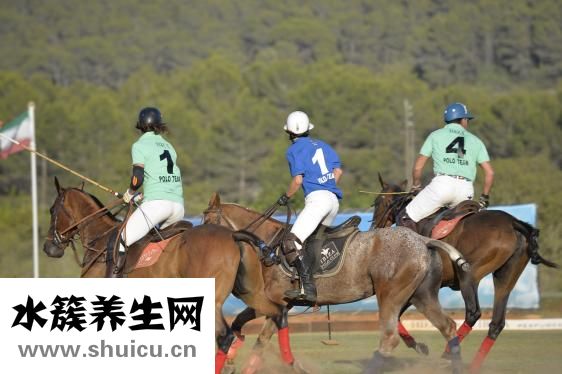 茭白怎么做好吃