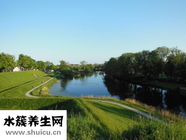 石膏的功效與作用