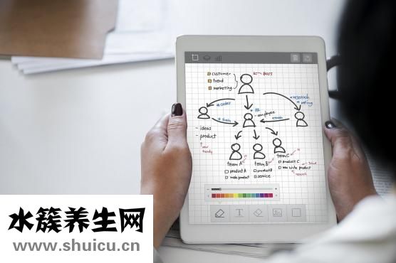 椰棗的功效與作用