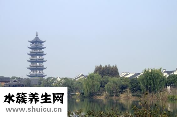 椰棗的功效與作用