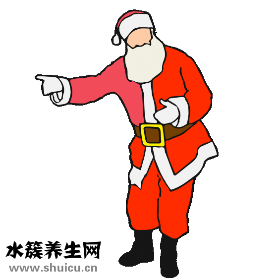 克林霉素磷酸酯凝膠