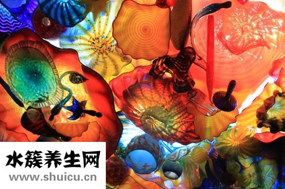 交泰丸的功效與作用