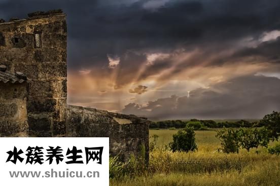 格林巴利綜合癥