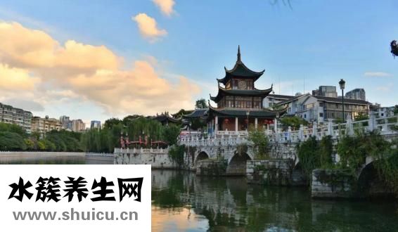 茜草的功效與作用