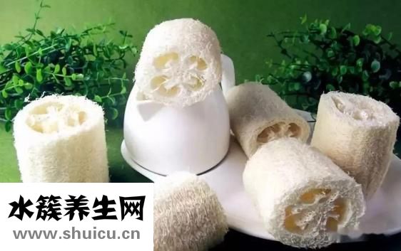 絲瓜絡的功效與作用