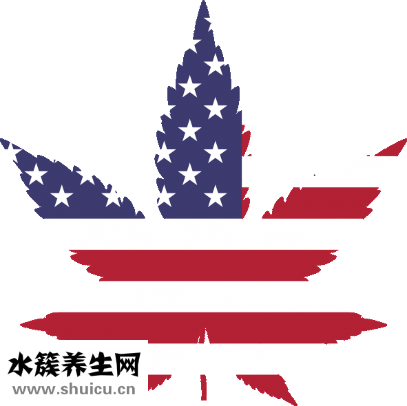 沒藥的功效與作用