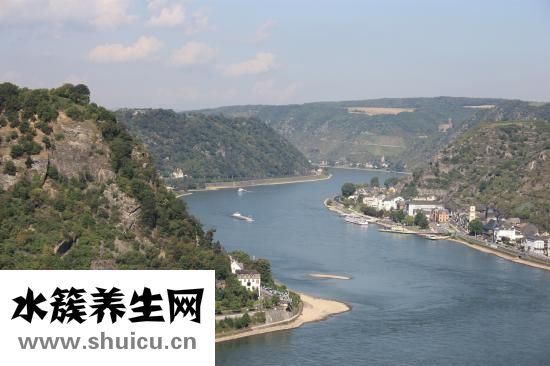 穿心蓮內酯滴丸