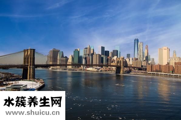 生姜的功效與作用