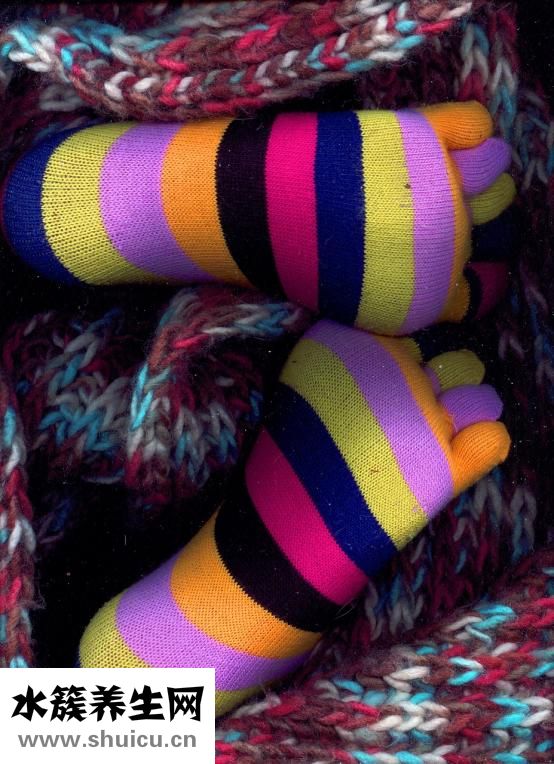 狗肉怎么做好吃