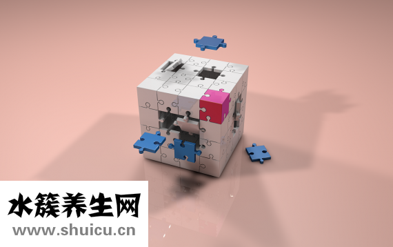 扁豆的功效與作用