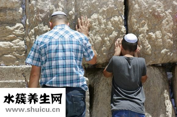 狗肉怎么做好吃