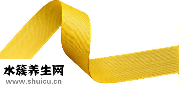 腎上腺素的作用