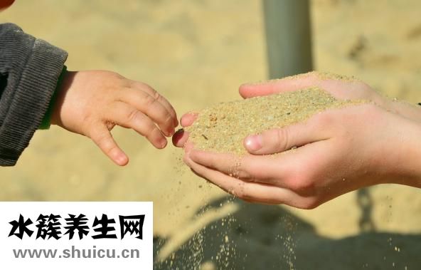 竹蓀的功效與作用