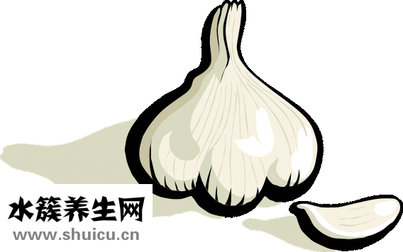 牛筋草的功效與作用