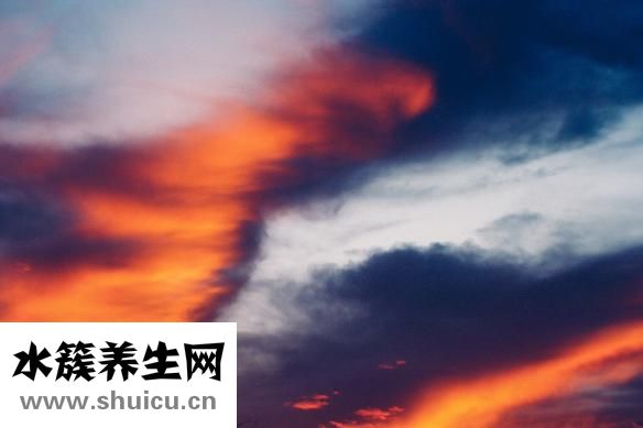 黃連素的功效與作用