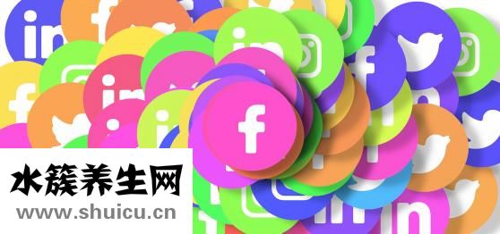 桂圓和龍眼的區(qū)別