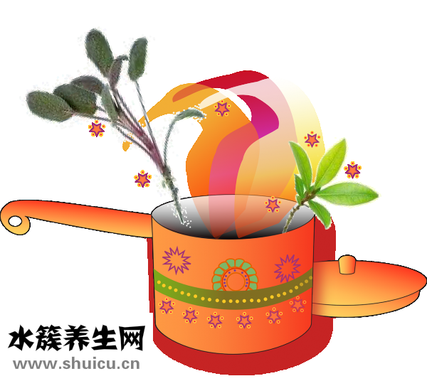 二妙丸的功效與作用