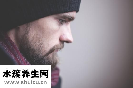 竹蓀的功效與作用