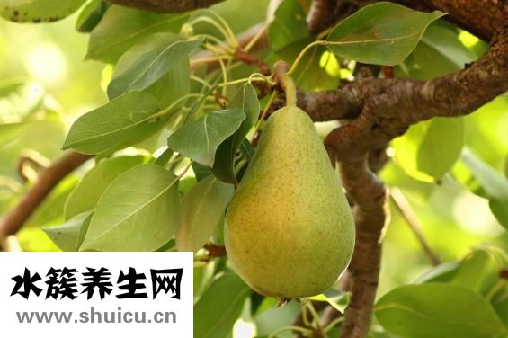 炒餅絲的家常做法