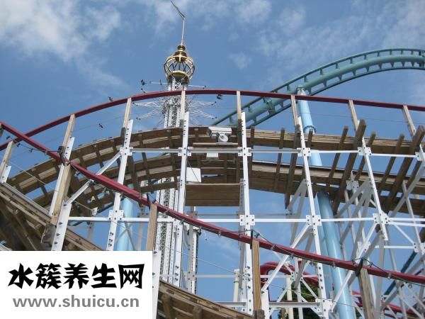 腎上腺素的作用