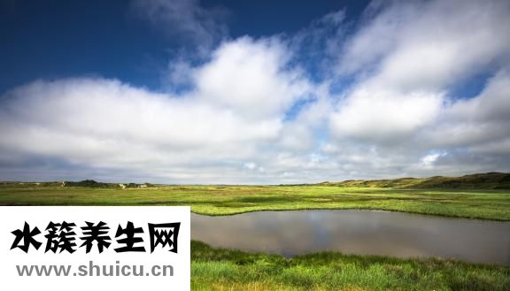 海參多少錢一斤