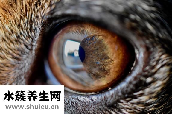 最新黃色網(wǎng)址