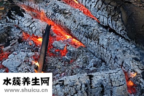 人體結(jié)構(gòu)示意圖