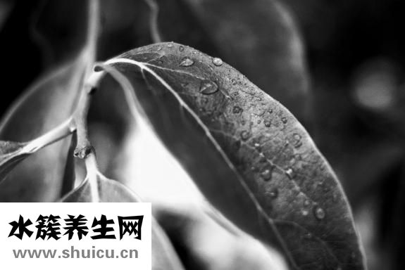 斯德哥爾摩綜合癥