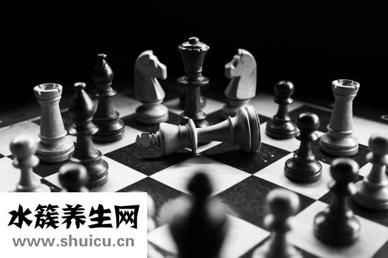 葵花籽的功效與作用