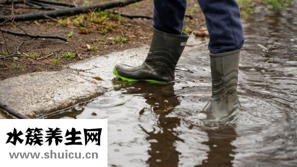 整腸生的功效與作用