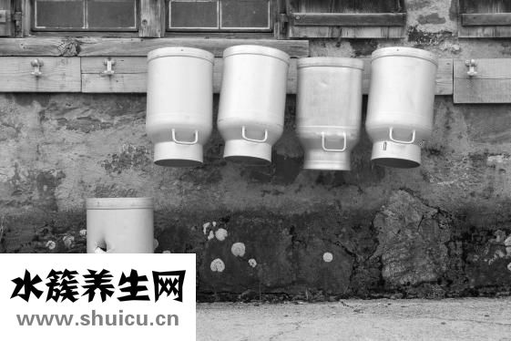 堿性食物有哪些