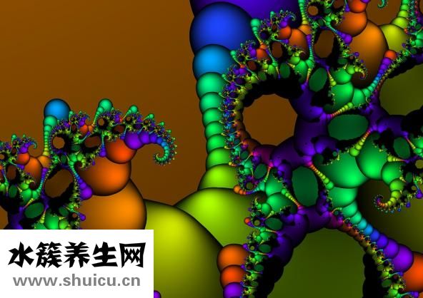 淮山的功效與作用