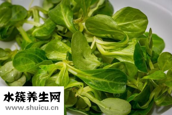 堿性食物有哪些