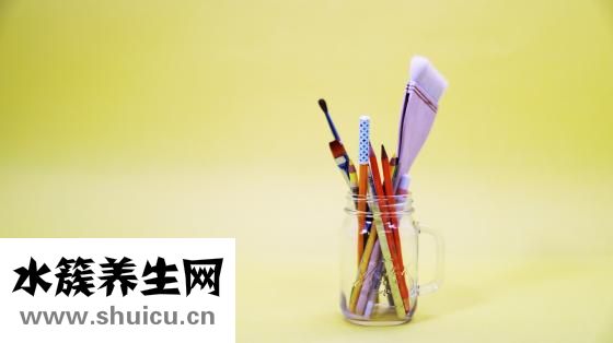 含鋅高的食物有哪些