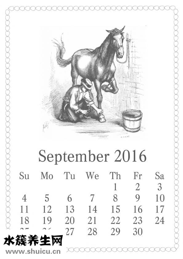 氧氟沙星滴耳液