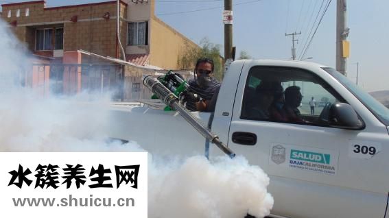 百部的功效與作用