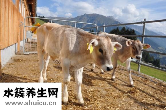 為什么背部酸痛