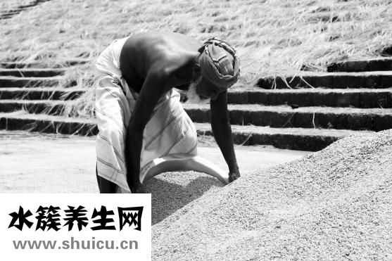 孕婦可以喝雞湯嗎