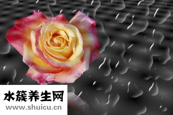 弱陽(yáng)性是什么意思