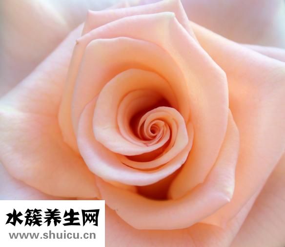 什么是間質腫瘤