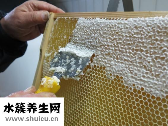 喝蜂蜜水的好處