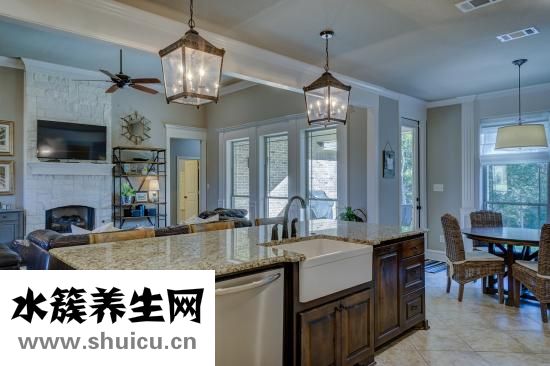 心臟聽診區(qū)