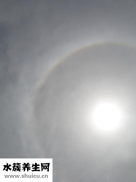 為什么突然流鼻血