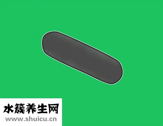 雙歧桿菌活菌膠囊