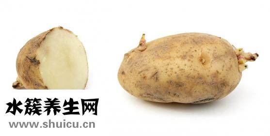 孕婦能吃葡萄嗎