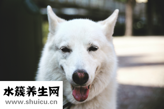 新生兒有鼻屎怎么辦