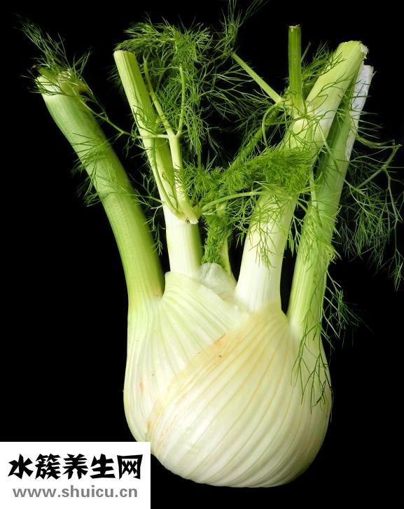 孕婦能吃茴香不