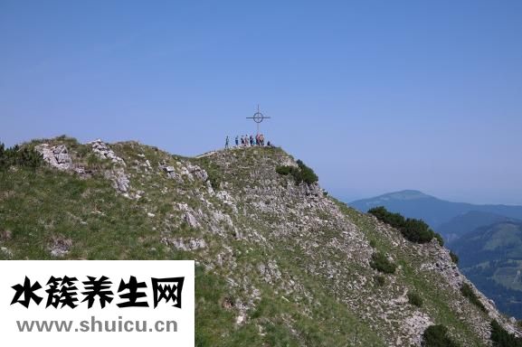 依替米星注射液