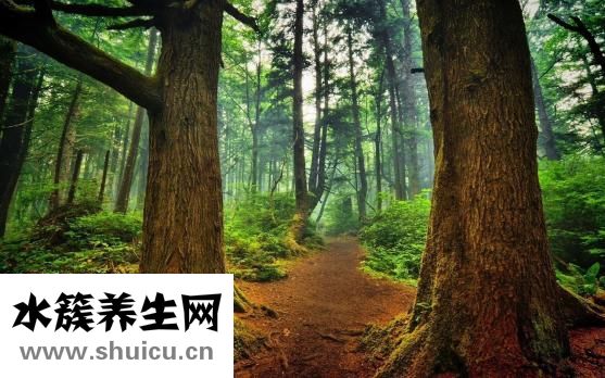 怎么讓男生舒服