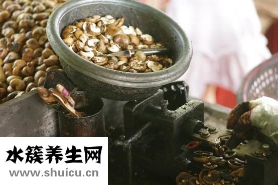 孕婦能吃茴香不